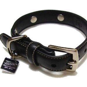 Coach Dog Collar & Leash